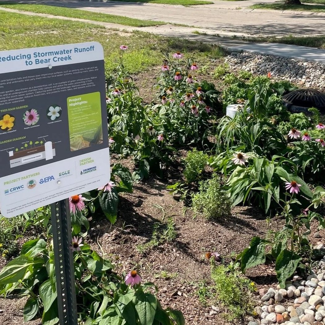 Native Garden Maintenance 1